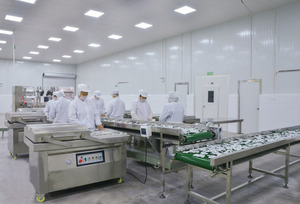 應(yīng)用領(lǐng)域